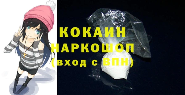твердый Долгопрудный