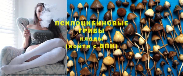 2c-b Майский