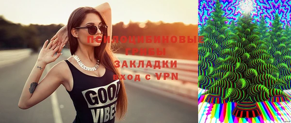 экстази Медвежьегорск