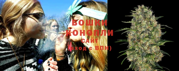 PSILOCYBIN Новый Уренгой
