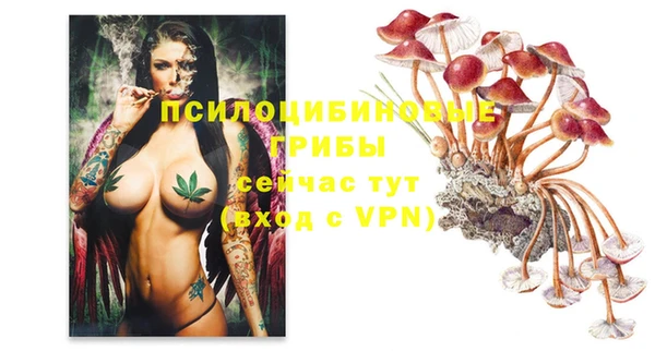 jwh Медногорск