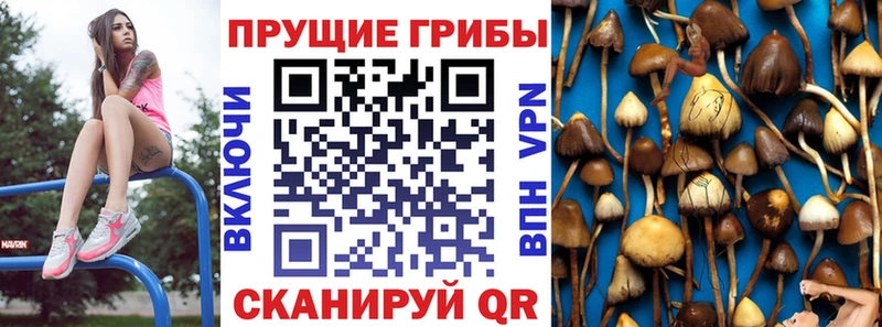 Галлюциногенные грибы Magic Shrooms  Кедровый 